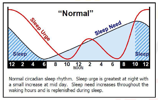 Schöne medizinische Erklärung der Schlafzusammenhänge. Nutzt nur nichts, wenn mein Hirn sich einfach nicht daran halten will.